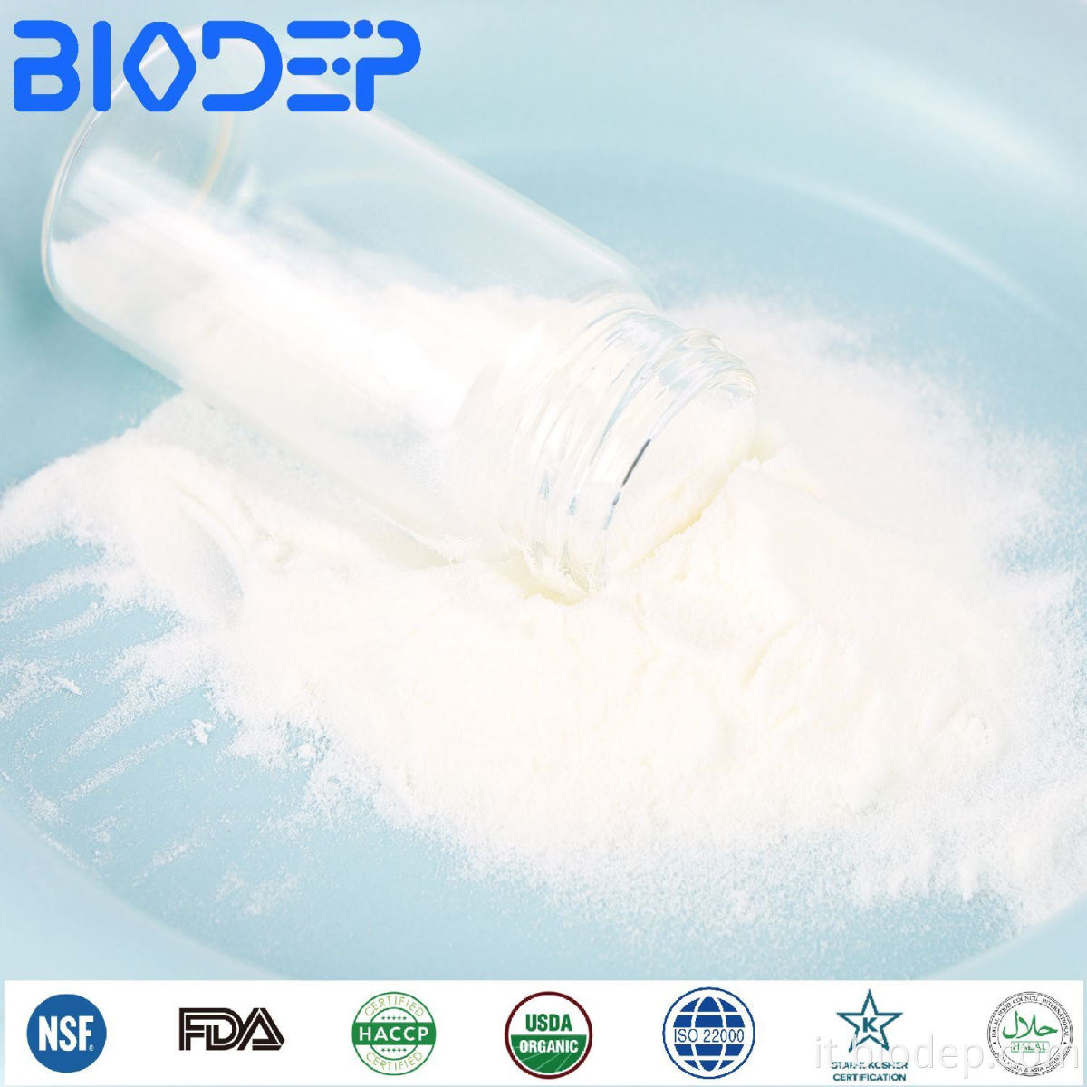 I migliori probiotici per le donne best probiotics for women